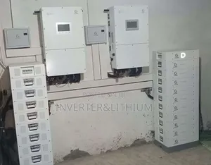 60kw Hybrid Inverter Lithium Ion Battery / Three Phase Inverter/