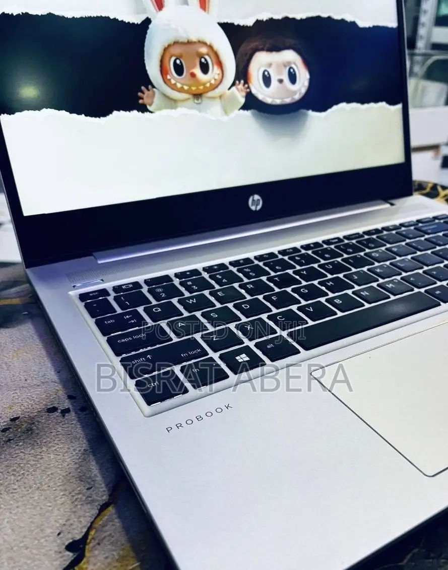 New Laptop HP ProBook 450 G7 16GB Intel Core i5 SSD 512GB