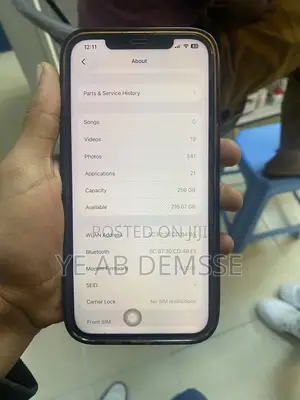 Apple iPhone 12 Pro Max 256 GB Gray