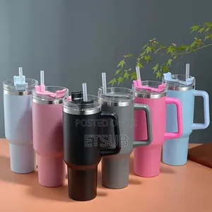 Double Layer Stainless Still Isolated Tumblers With Straw (Travel Cup)