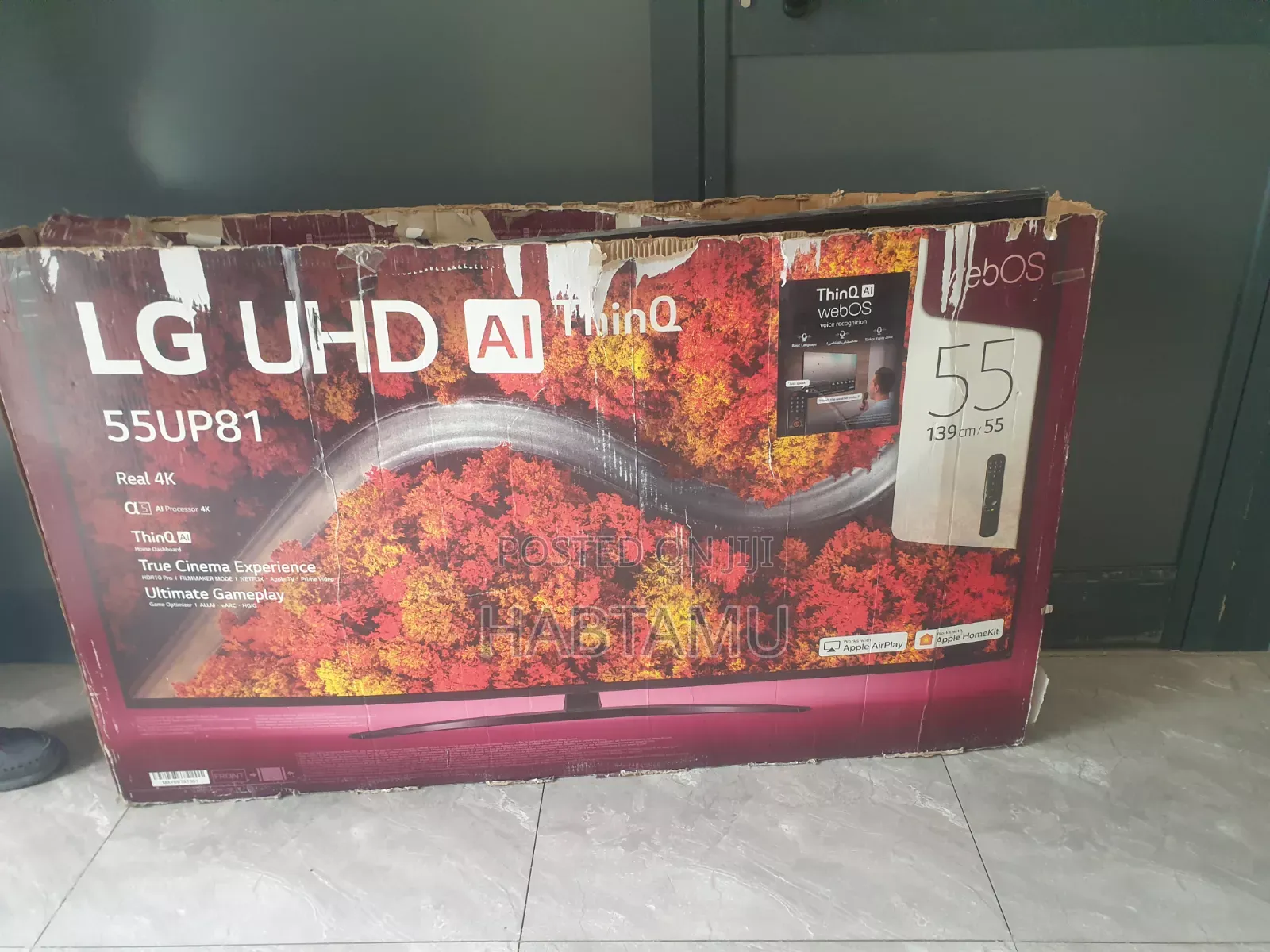 55 Inch Lg Television
