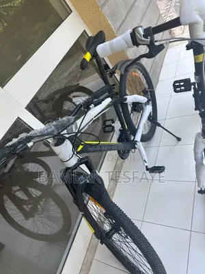 Mountain Bicycle