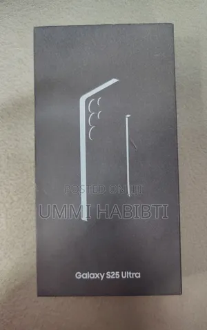 Samsung Galaxy S25 Ultra 256 GB Silver