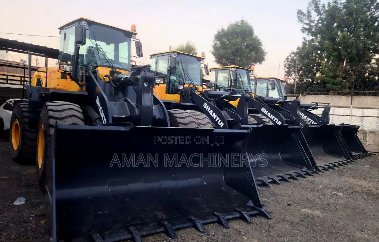 Bank Option Available Brand New Shantui Loder for Sale