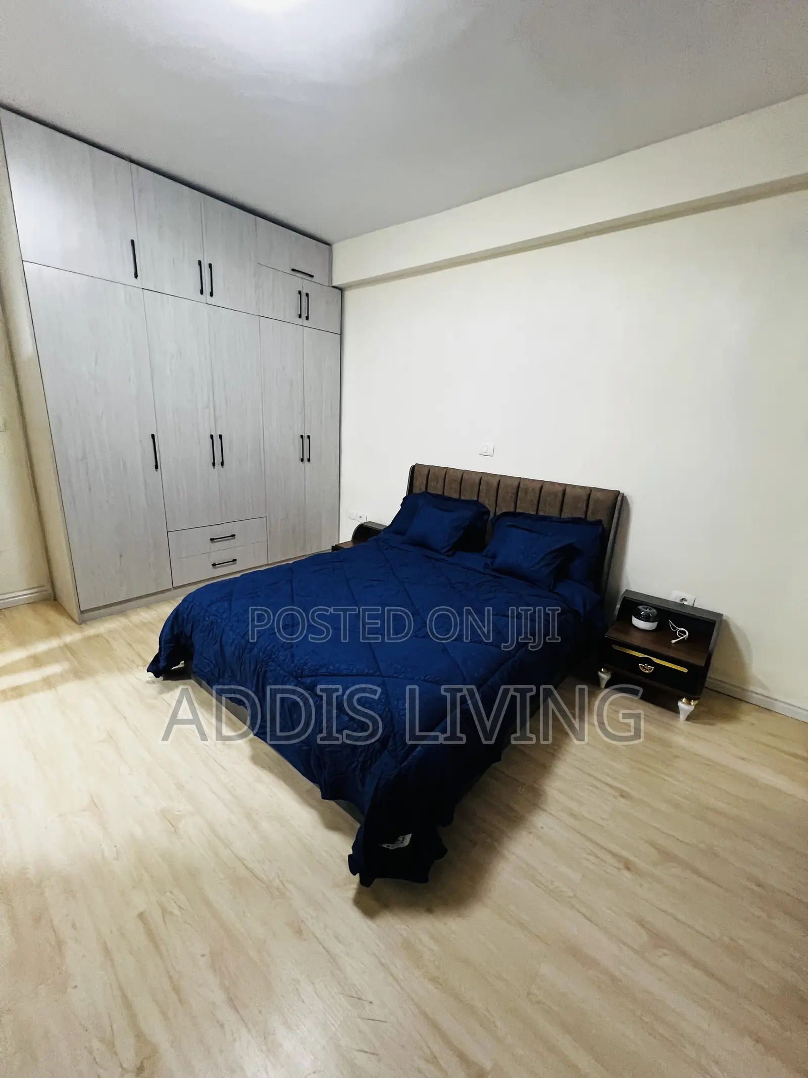 Furnished 2bdrm Apartment in Bole for rent