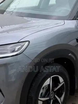 BYD Yuan Up 2025 Gray