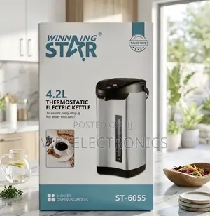 Winning Star 4.2l Thermostatic Electric Kettle (St-6055)