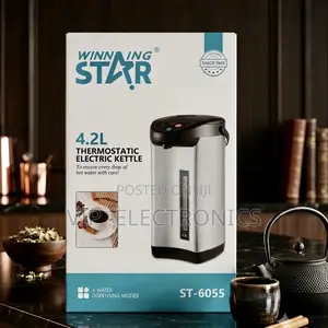 Winning Star 4.2l Thermostatic Electric Kettle (St-6055)