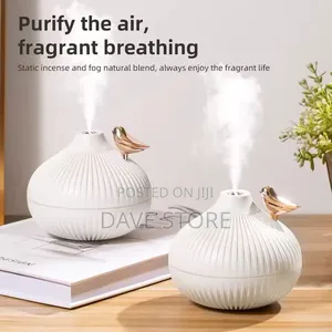 Onion Shape Humidifier