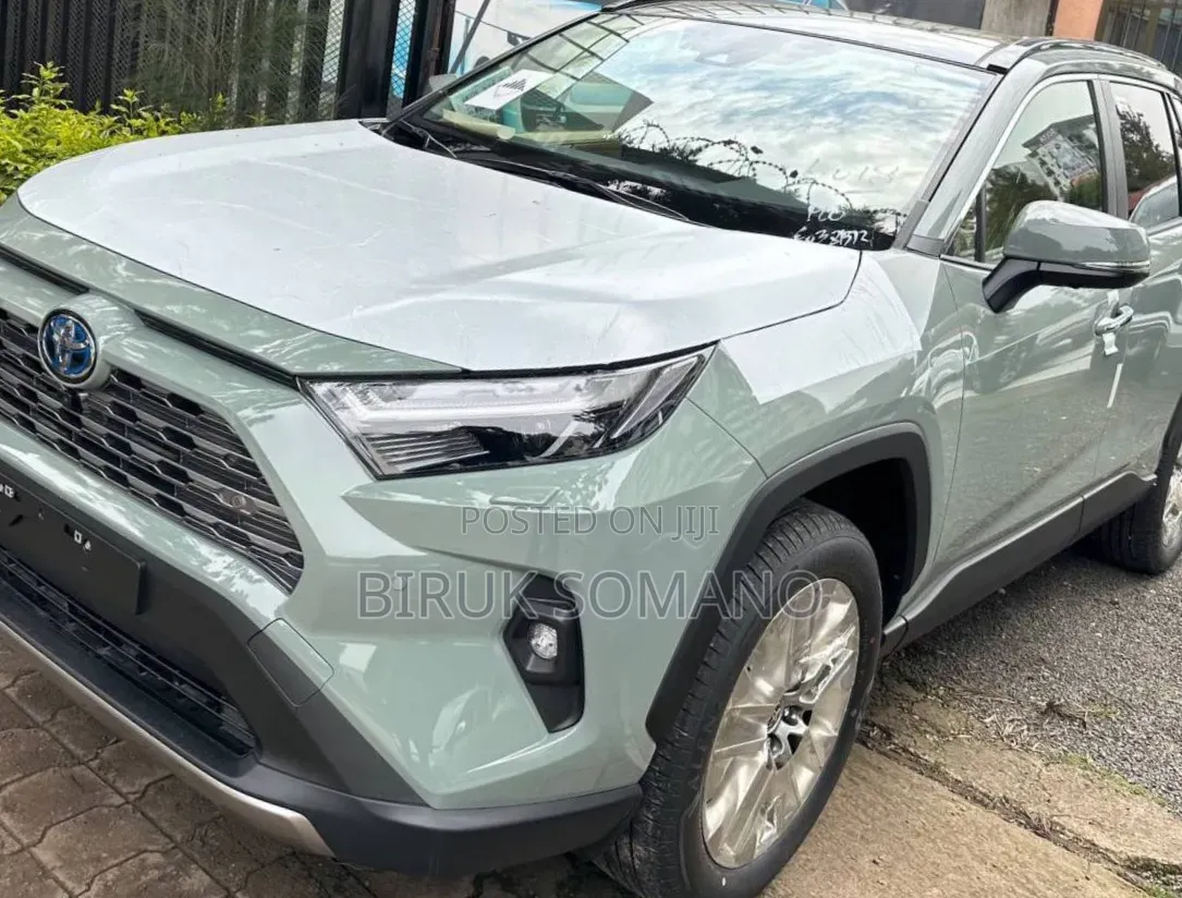 Toyota RAV4 Hybrid 2024 Green