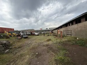 Warehouse (Magazen)