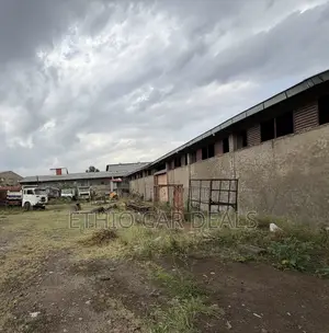 Warehouse (Magazen)