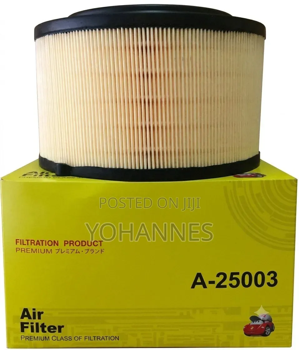 Air Filter