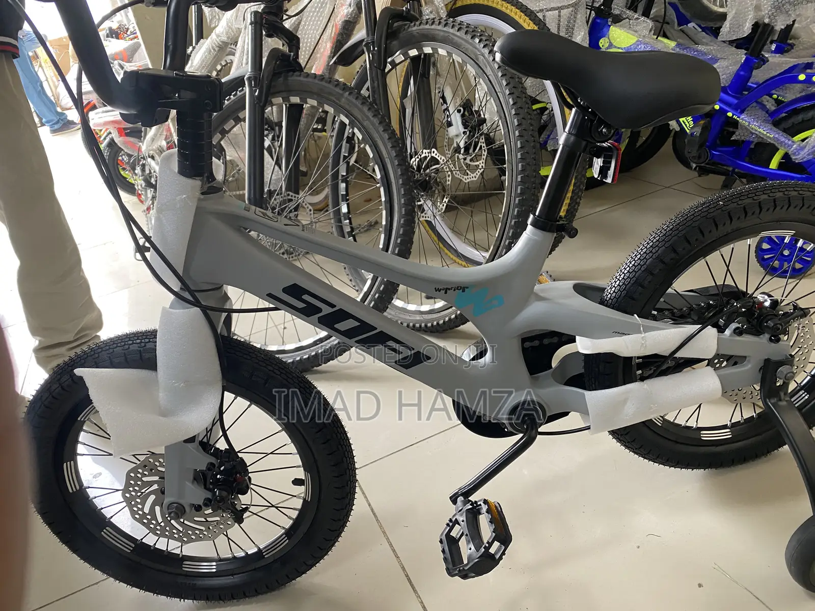 Bicycle Sofi