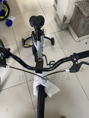 Bicycle Sofi