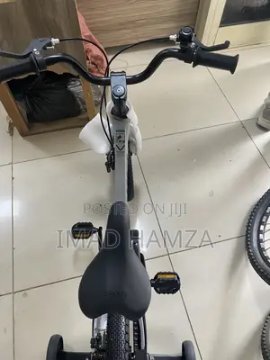 Bicycle Sofi