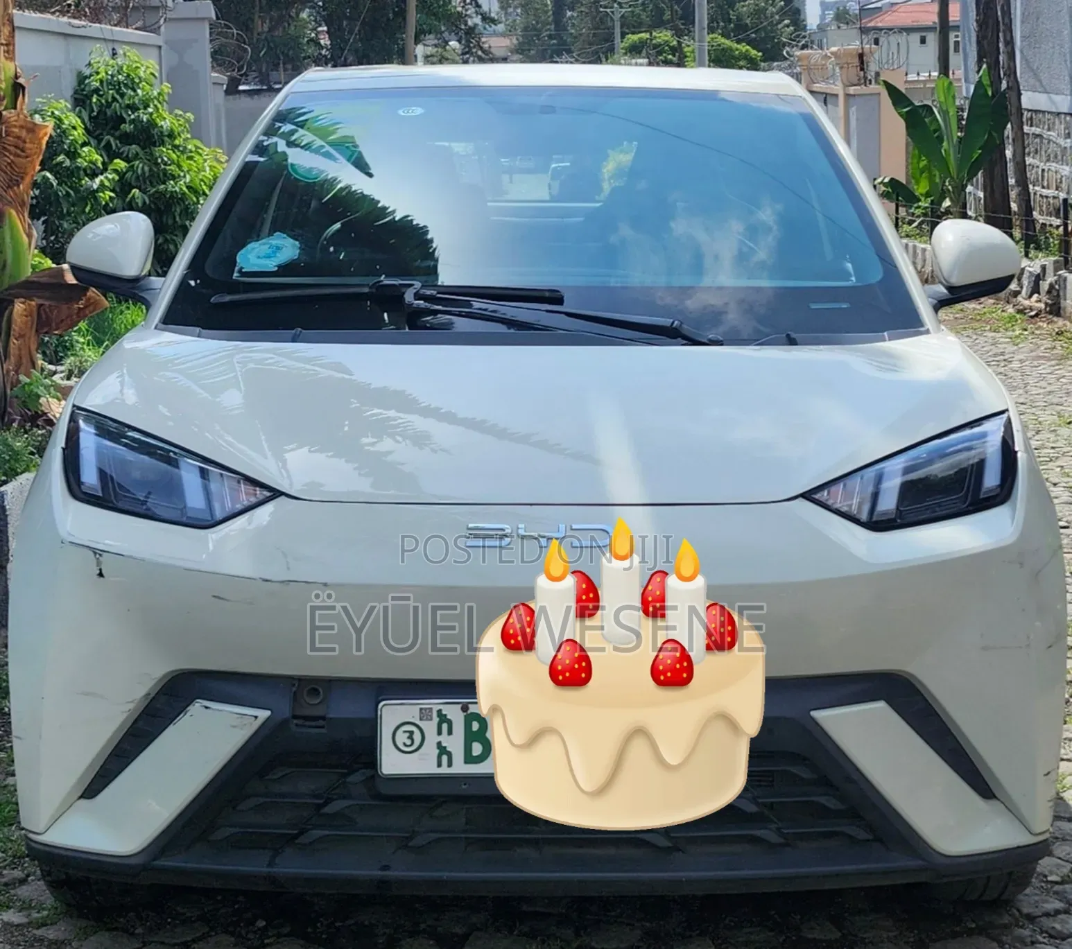 BYD Seagull 2024 Off white
