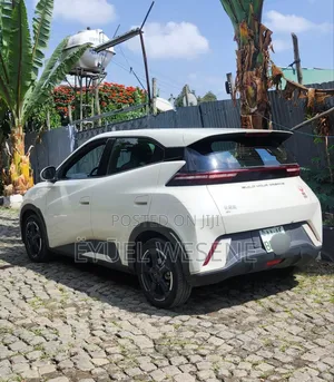 BYD Seagull 2024 Off white