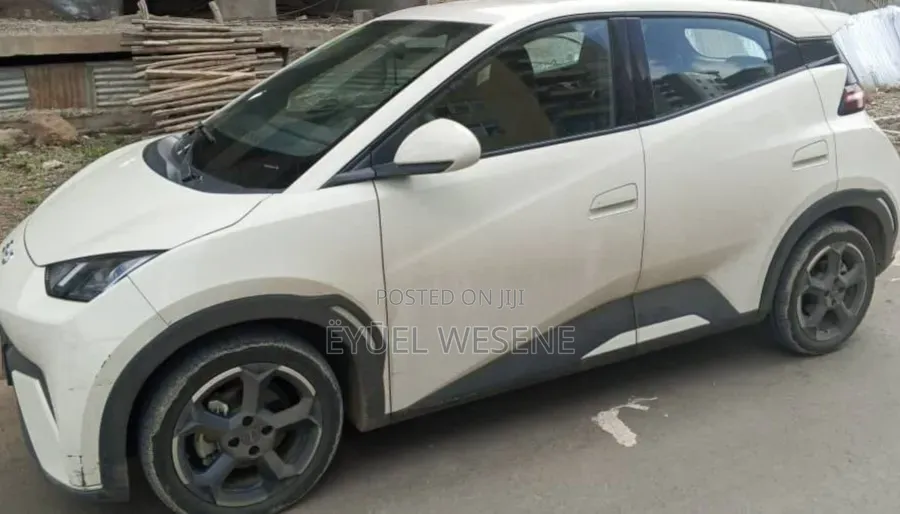 BYD Seagull 2024 Off white