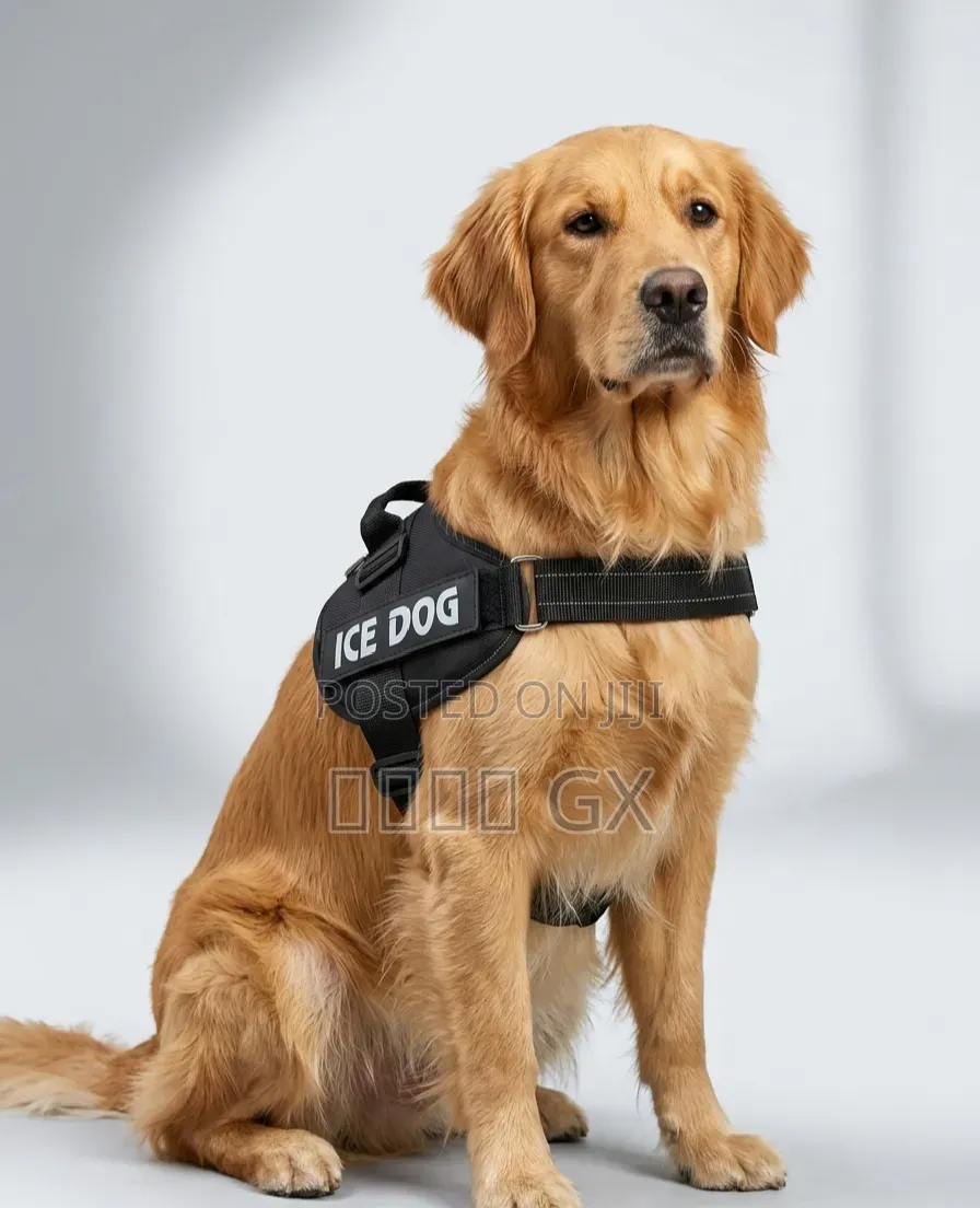  Premium Tactical No-Pull Dog Harness (Ice Dog) 