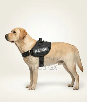  Premium Tactical No-Pull Dog Harness (Ice Dog) 