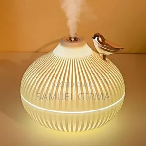 Purify the Air Beautify the Environmentonion Shape Humidifier