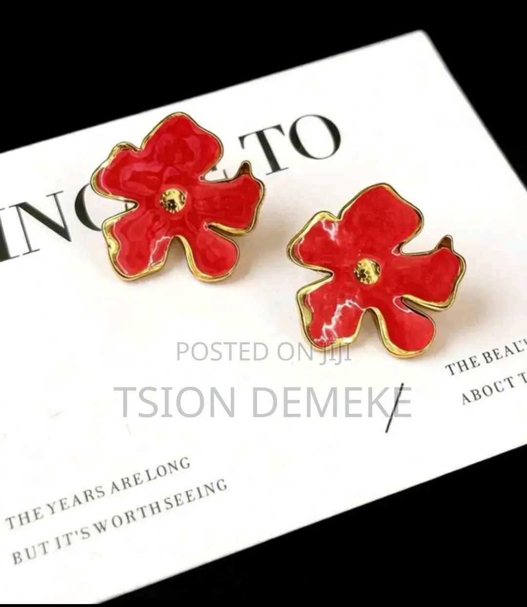 Stainless Earrings