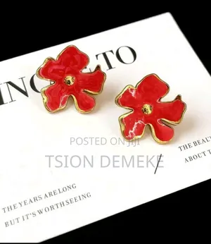 Stainless Earrings