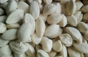 Moringa Seed