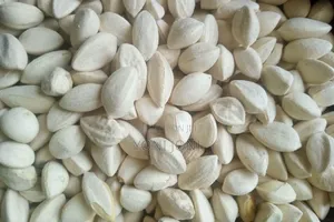 Moringa Seed