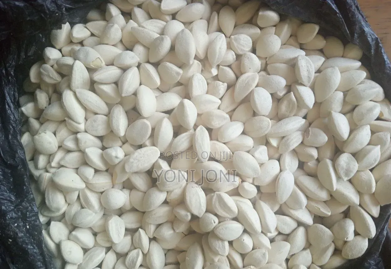 የዘር ፍሬ Moringa Ena Lelochem Alun