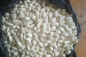 የዘር ፍሬ Moringa Ena Lelochem Alun