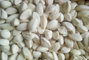 የዘር ፍሬ Moringa Ena Lelochem Alun