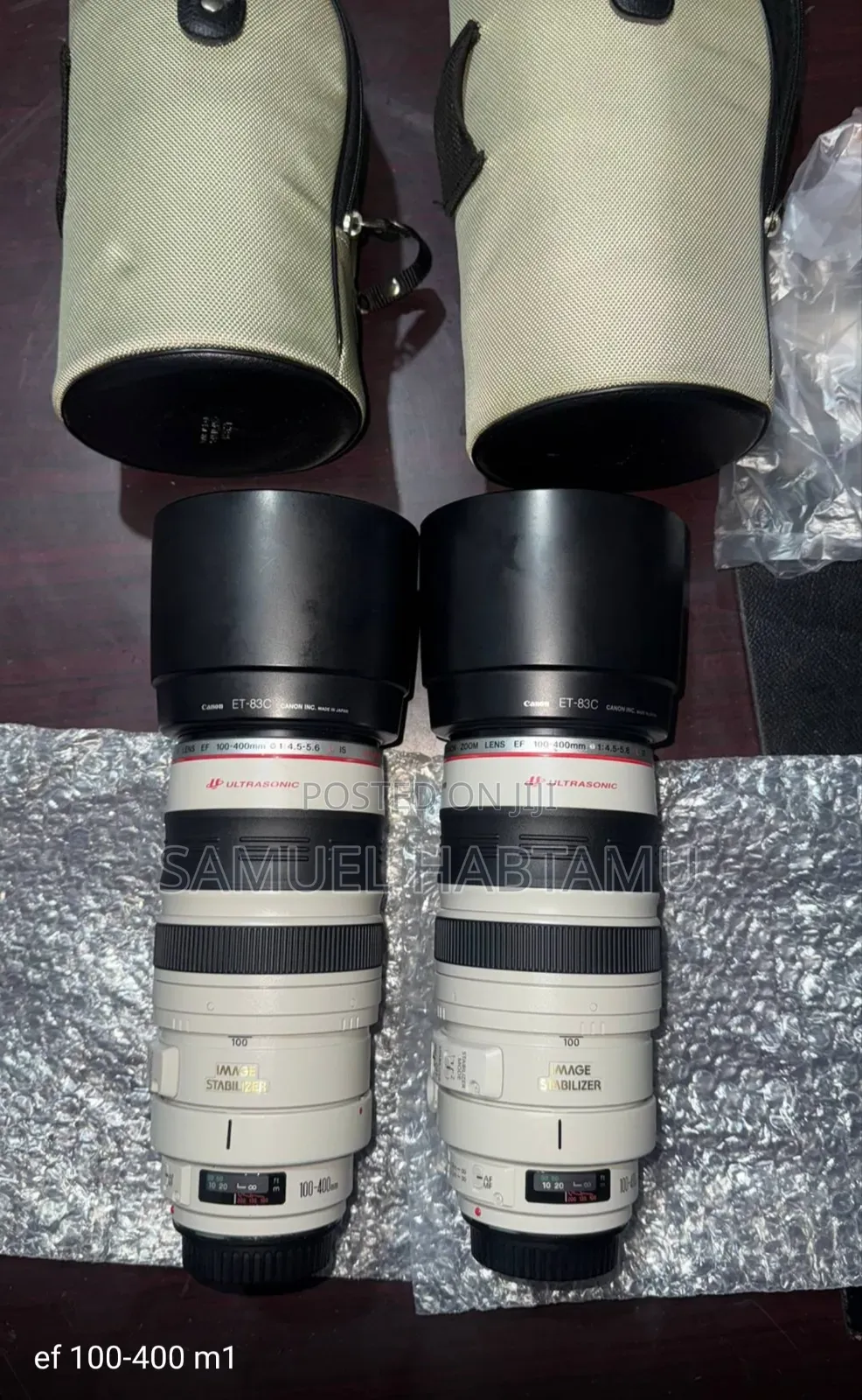 Ef 100-400 Zebra Lens