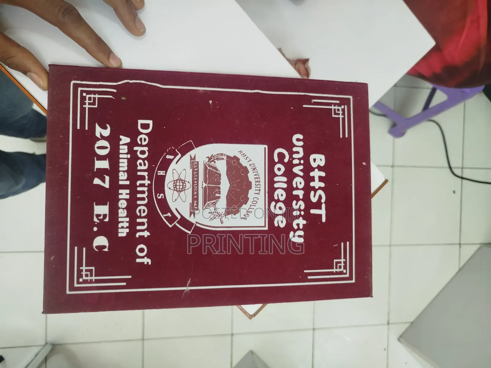 Baynder ባይንደር እና እሪቫን