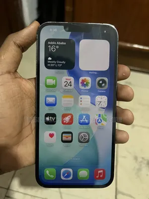 Apple iPhone 13 Pro Max 256 GB Gray