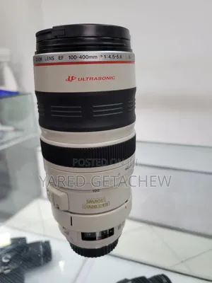 Canon Zebra 100-400mm Lens