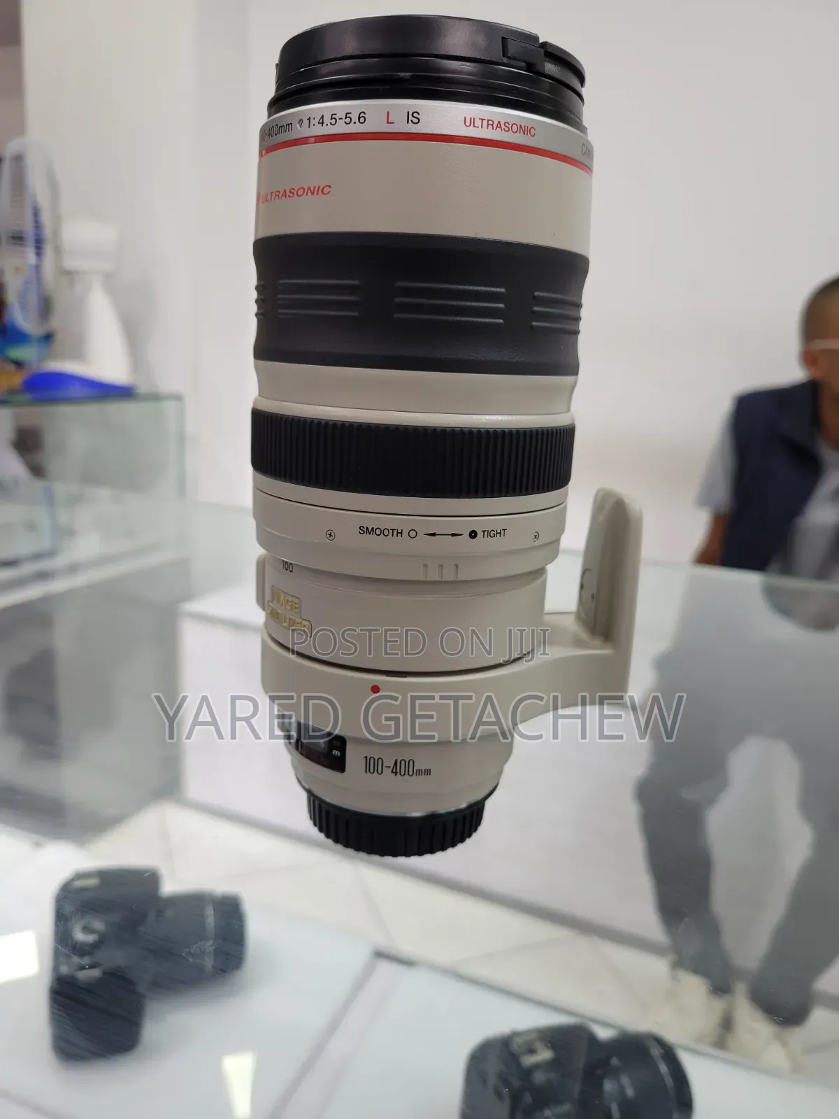 Canon Zebra 100-400mm Lens