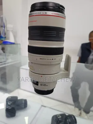 Canon Zebra 100-400mm Lens