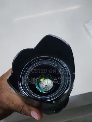 Sigma Art Lense