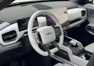 New BYD Leopard 3 2025 Gray