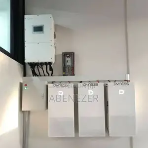 Solar Inverter + Lifepo4 + Panel