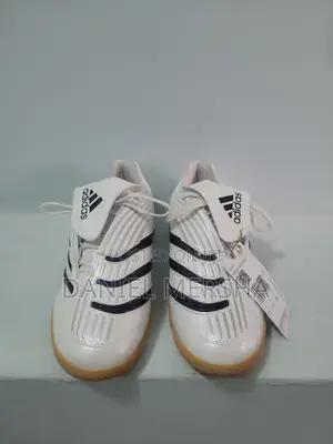 Predator Sala Shoes