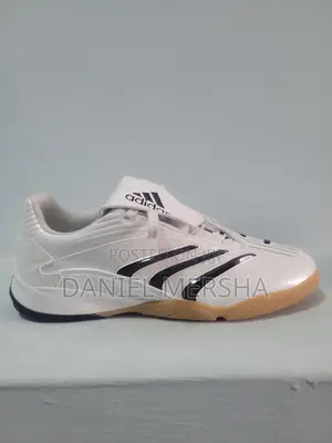 Predator Sala Shoes