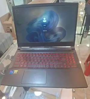 New Laptop MSI GE66 Raider 16GB Intel Core i7 SSD 72GB