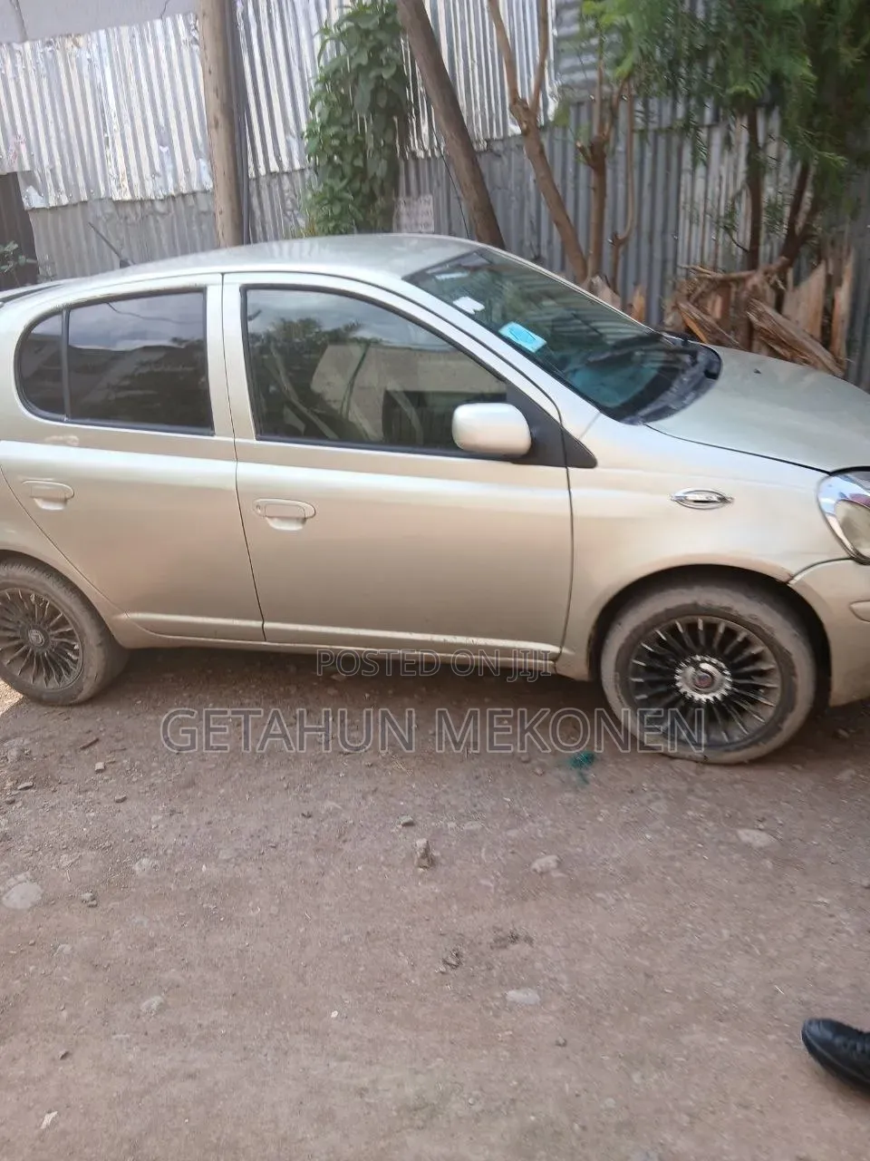 Toyota Vitz 2004 Gold