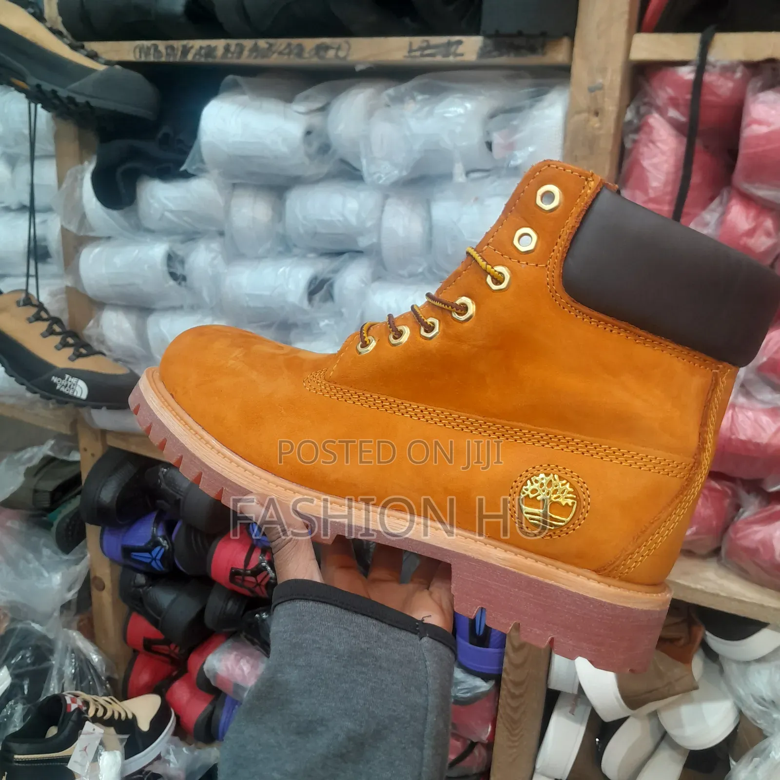 ቲበር ላንድ ቲበእር ላንድ