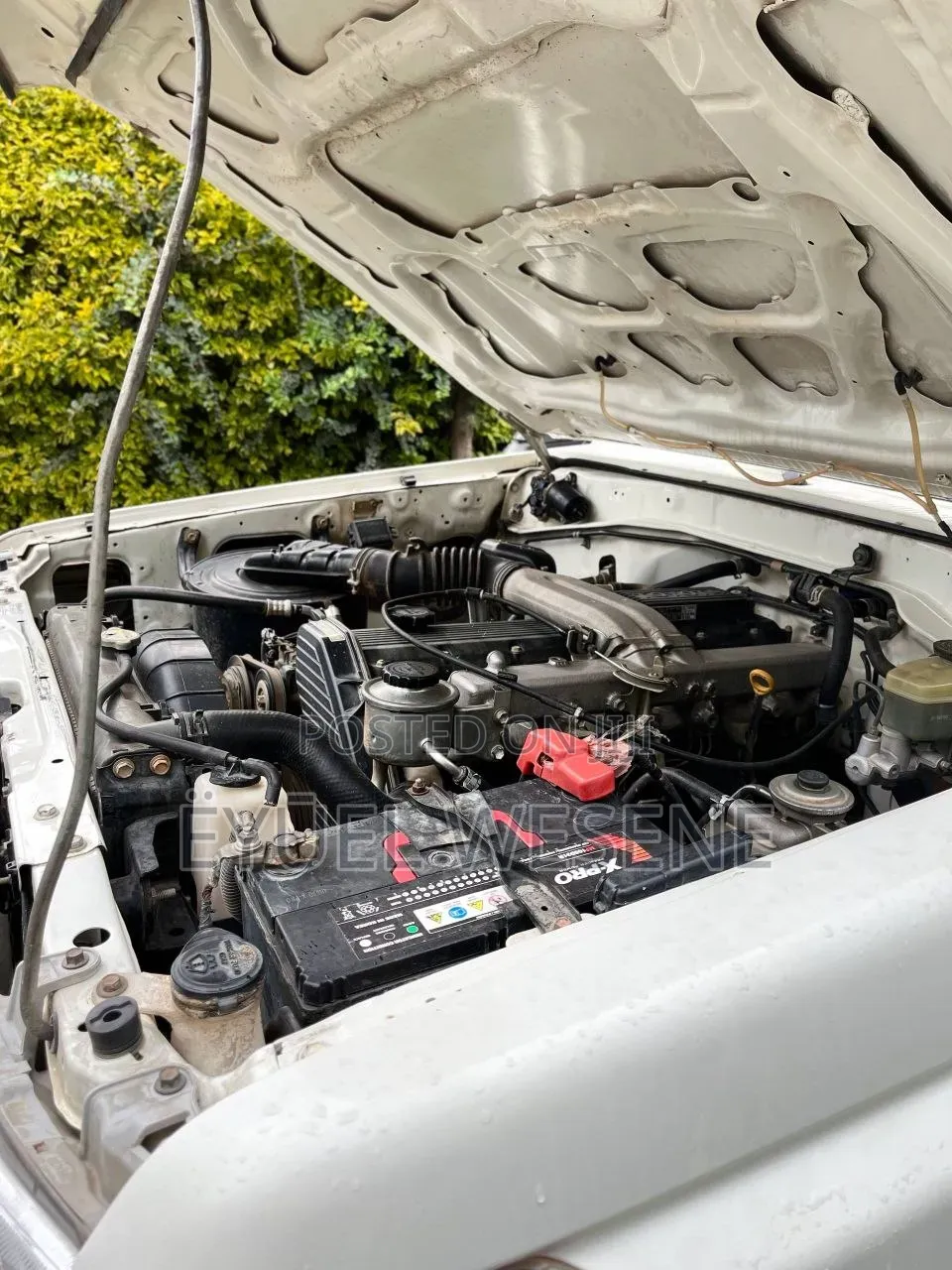 Toyota Land Cruiser 2010 White