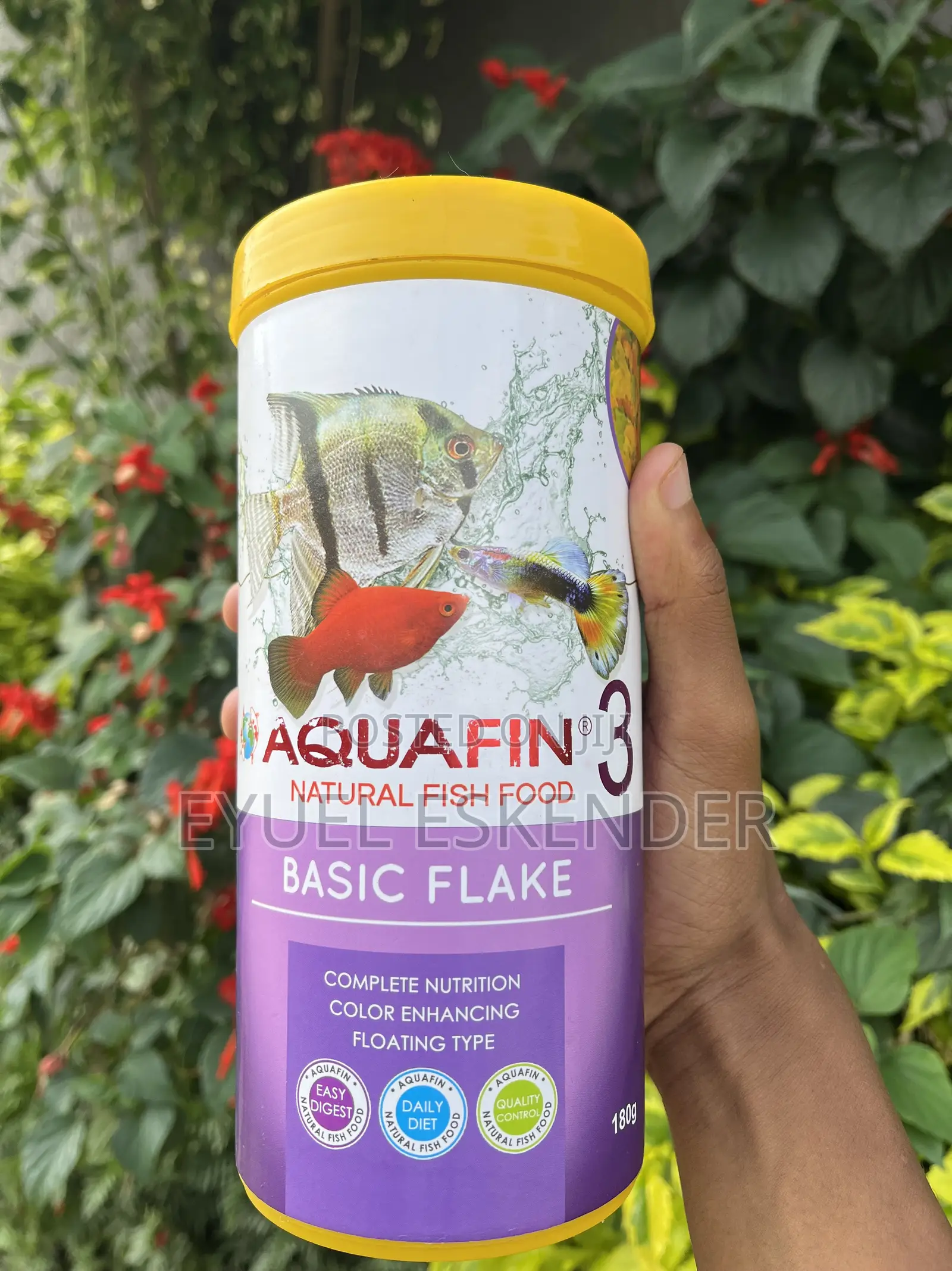 Fish Flake Food