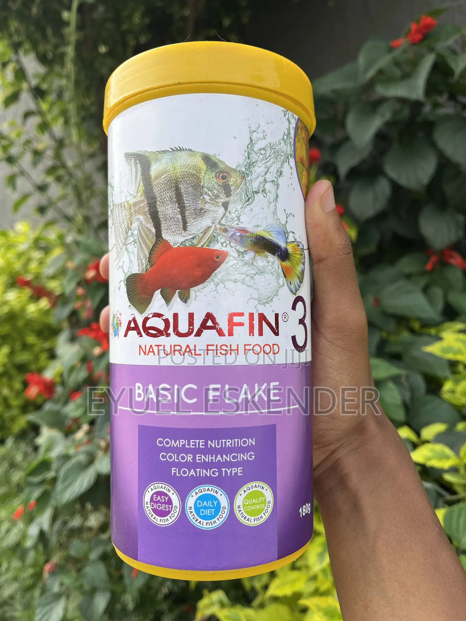 Fish Flake Food